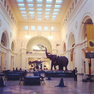 dueling pianos in chicago field museum