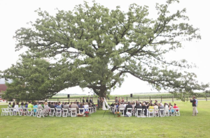 Sugarland Wisconsin Wedding Ceremony