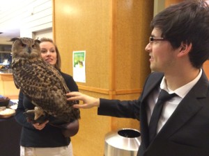 Cincinnati Zoo Eagle Owl