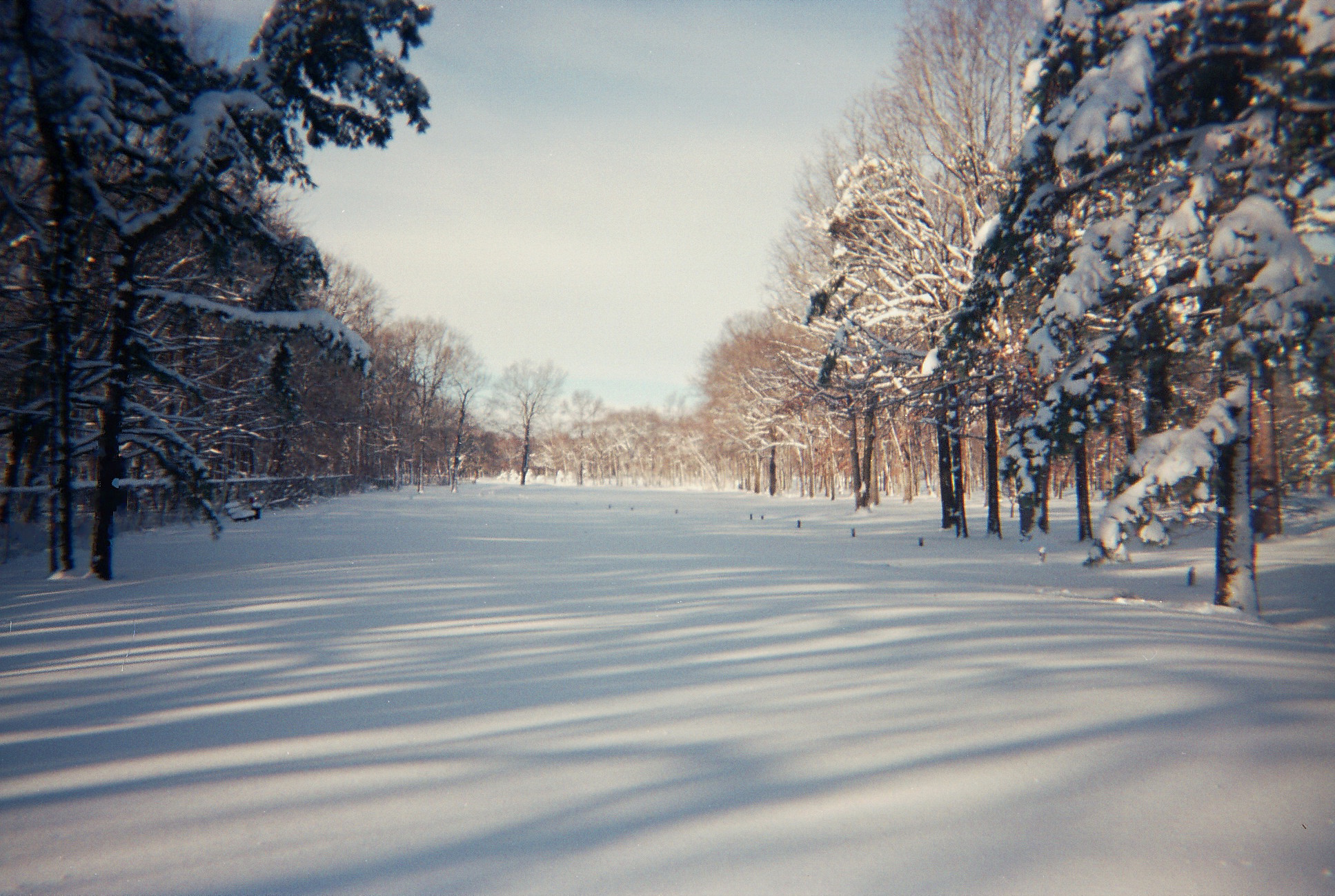 It’s Beginning to Look a Lot Like…  a Fond du Lac Holiday Party!