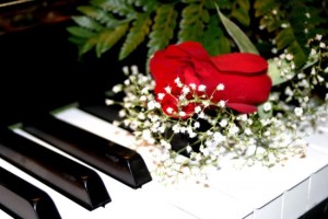 rose on piano keys