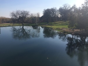 Fishermen's Inn Lake