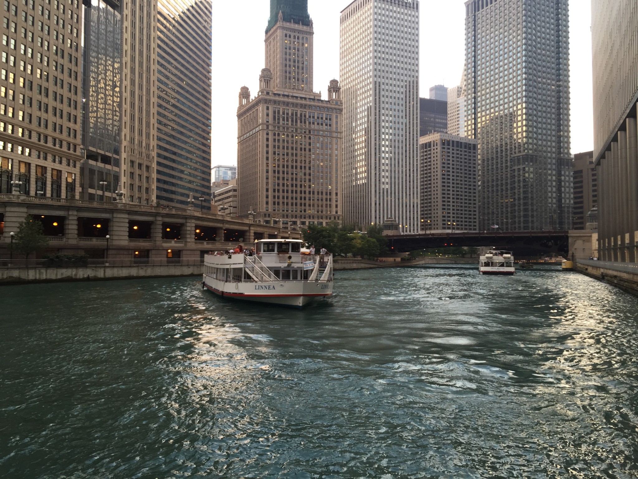 Chicago Boat Tours are More Fun with Felix and Fingers!