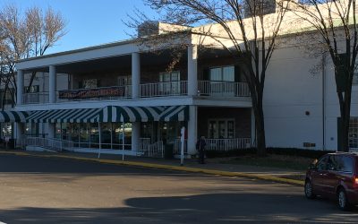 Arlington Race Park Wedding