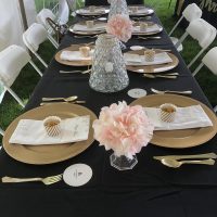 Malari and Mark's Backyard Wedding table setting