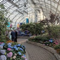 Garfield Park Conservatory Wedding walkway