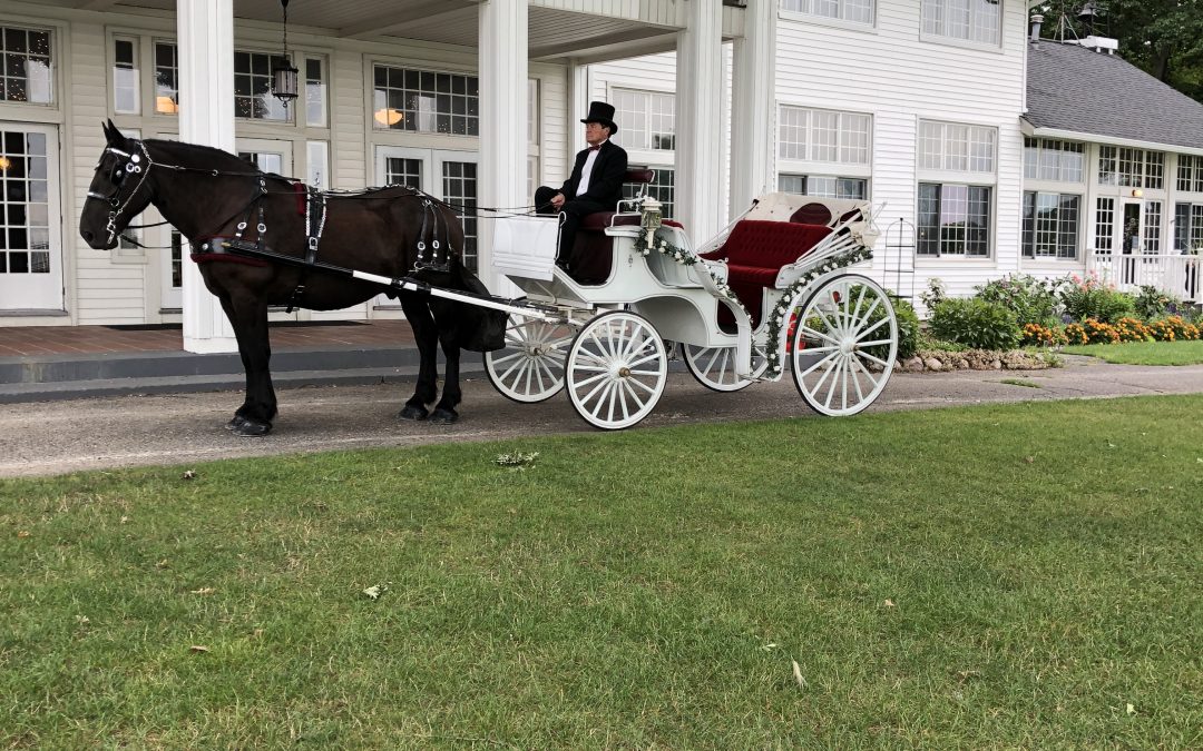 Waldenwoods Resort  Wedding