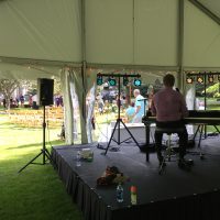 Cottage Grove Backyard Wedding stage