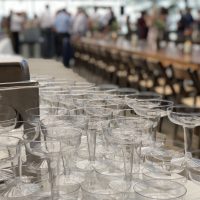 Bittersweet Greenhouse Wedding glasses