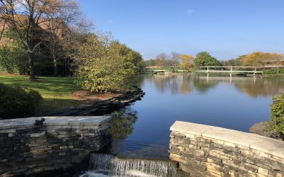 Hyatt Lodge Oak Brook Wedding