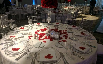 Hyatt Regency Schaumburg Wedding