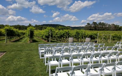 Villa Bellezza Winery Wedding