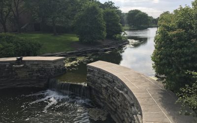 Hyatt Lodge Oakbrook Wedding