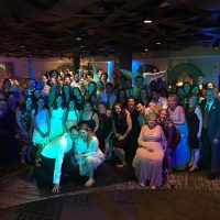 Naperville Elements Wedding party