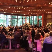 Hyatt Lodge Oakbrook Wedding party