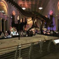 Field Museum Wedding After Party entrance