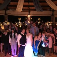 Beautiful Brookfield Zoo Wedding party