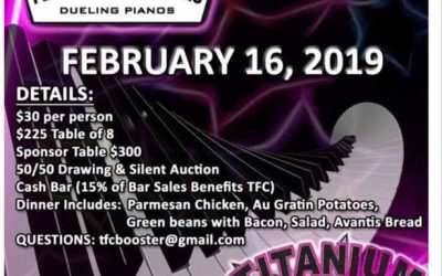 Titanium Force Cheer Squad Fundraiser