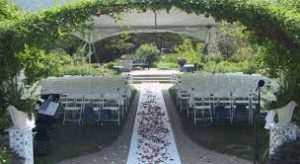 Wilder Park Wedding Ceremony