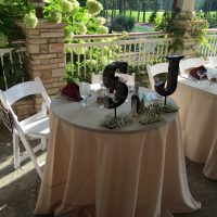 Sandy Pines Golf Club Wedding