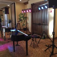 Sturgeon Bay Stone Harbor Wedding performance