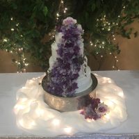 Stone Harbor Wedding Event cake