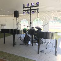 Wild Eagle Resort Wedding stage