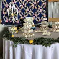 Carlinville Farm Wedding desserts