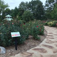 Green Bay Botanical Garden Wedding