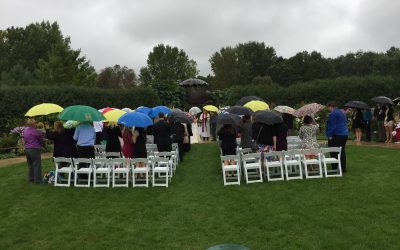 Green Bay Botanical Garden Wedding