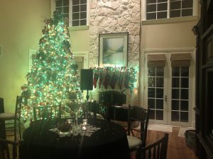 Private Residence Holiday Birthday Bash