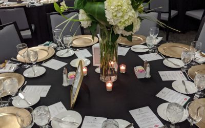 Cantigny Park Emerald Evening Fundraiser