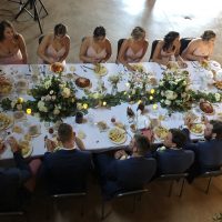 County Line Orchard Summer Wedding bridal party
