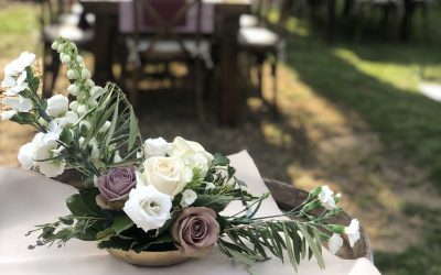 Unique Champaign Backyard Wedding