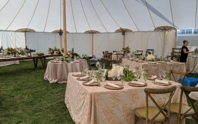 Romantic Outdoor Wedding Celebration