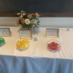 Renaissance Milwaukee West Hotel Wedding Celebration
