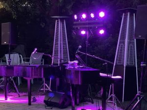 Backyard Birthday in Deerfield Purple Pianos