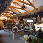 Pageo Lavender Farm Fundraiser Event