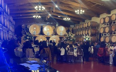 Ponte Winery Wedding Celebration
