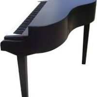 Forest Hills Fundraiser Presto Piano Shell