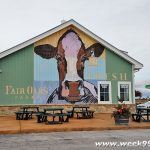 Fair Oaks Farm Wedding Celebration