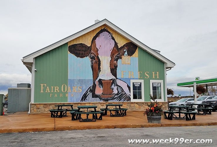 Fair Oaks Farm Wedding Celebration
