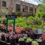 blumen gardens