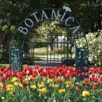 botanica wichita