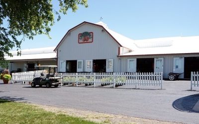 A Night of Melodies and Miracles: Dueling Pianos at Tanner Orchard Raises Funds for Domestic Violence Victims