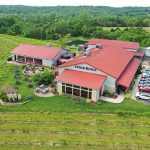 ceder ridge winery