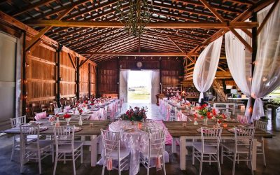 Dandelion Farms Delight: The Best Dueling Piano Show Ever!