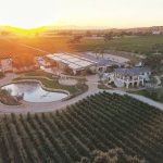 rava wines 2