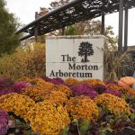 the morton arboretum