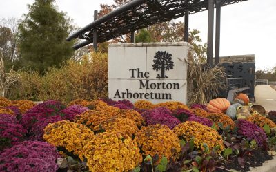 Morton Arboretum Visitor Center Comes Alive with Felix And Fingers Dueling Pianos: A Night of Music, Games, and Holiday Cheer